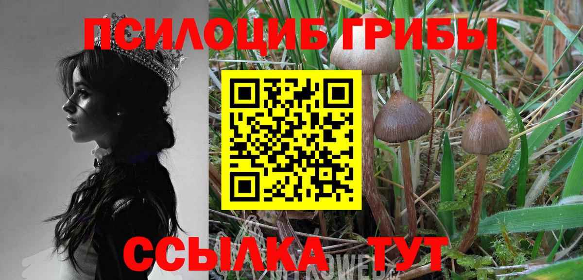 Псилоцибиновые грибы Psilocybe  Вход с VPN  Чита 