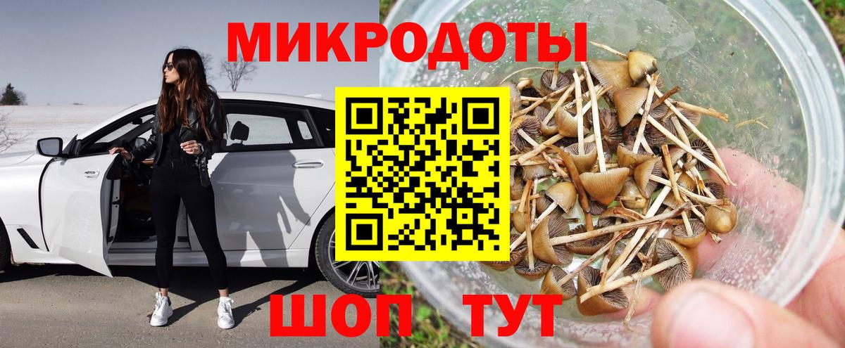Галлюциногенные грибы Psilocybe Чита